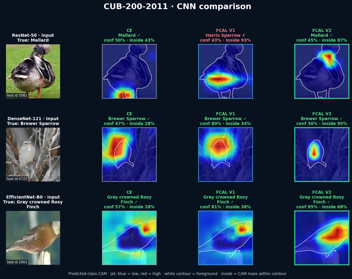Actual research output: matched bird images and class activation maps.